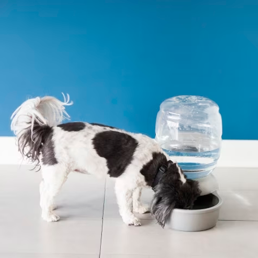 Bebederos para Perros Aspen Pet Lebistro Waterer Bebederos para Perros Aspen Pet Lebistro Waterer